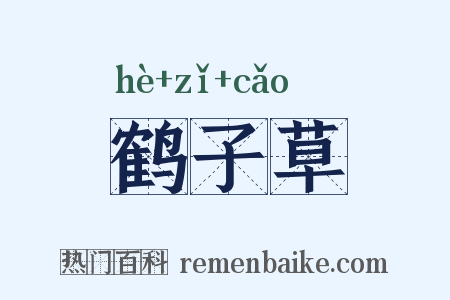 鹤子草是什么意思的图片